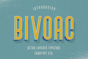 Bivoac: What It Is and Why You Need to Know