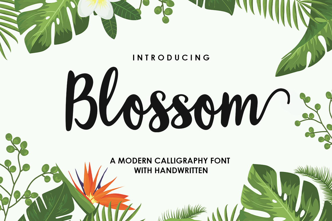Blossom Script Font: A Unique Choice for Creative Expression