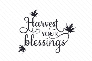 Harvest Your Blessings