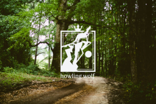 Howling Wolf Logo Template: A Practical Guide to Getting It Right