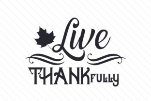 Live THANKfully: A Practical Guide to Grateful Living