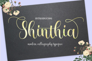 Shinthia: A Practical Framework for Streamlined Workflows