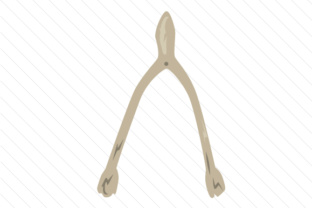 The Wishbone Approach: Designing Choices That Feel Effortless
