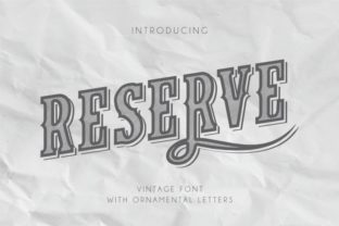 Understanding the Power of Reserve and Its Role in Modern Life